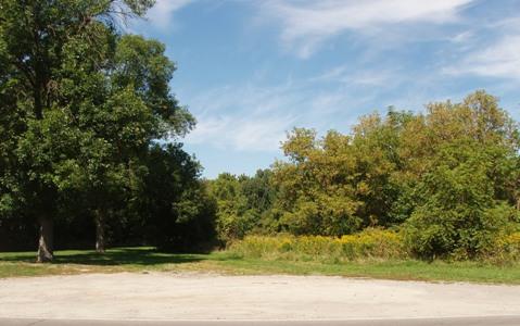 Stickwood Brickyard and Wetlands; Heritage Newmarket
