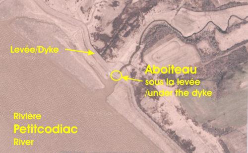 Aerial photo showing a tributary emptying into the Petitcodiac River by means of an aboiteau in the region of Gautreau Village and Pré-d'en-Haut; Google Maps and the Memramcook Valley Historical Society