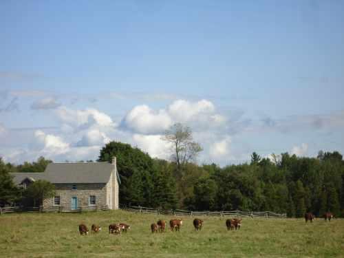 Contextual view from the road.; RHI 2006