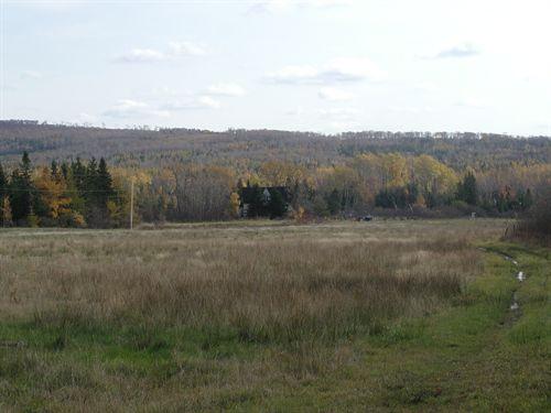 House and surrounding woodland, MacFarlane House, Mull River, Nova Scotia; Heritage Division, NS Dept. of Tourism, Culture and Heritage, 2002