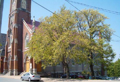 Front and south elevations, St. Patrick's Church, Halifax, Nova Scotia, 2004.; Heritage Division, NS Dept. of Tourism, Culture and Heritage, 2004.