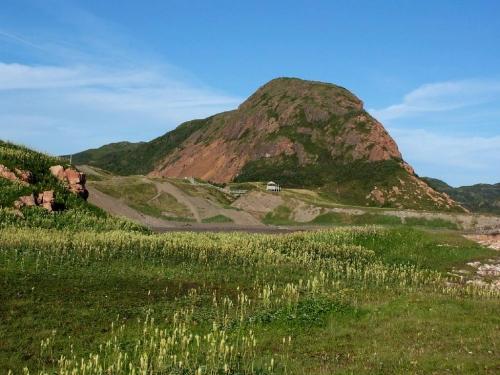 View of Red Head, Harbour Breton, NL. Photo taken 2009. ; Doug Wells 2010