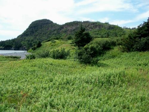 View of North West Corner, the fourth cove of Deadman’s Cove, Harbour Breton, NL. Photo taken 2009. ; Doug Wells 2010
