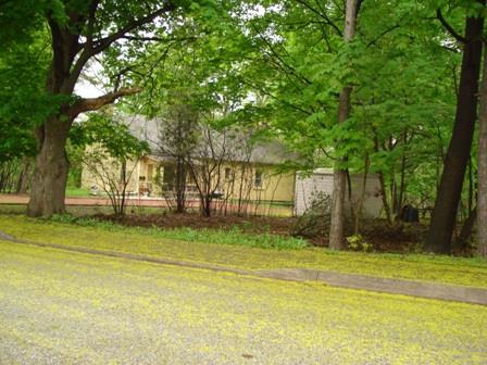 Featured is the dwelling's site in Streetsville.; Paul Dubniak, 2008.