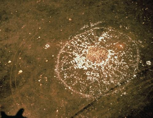 Majorville Cairn and Medicine Wheel, near Bassano (date unknown); Alberta Culture and Community Spirit - Royal Alberta Museum, date unknown