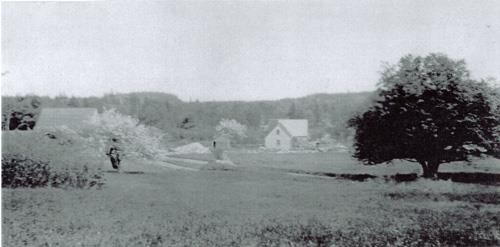 This distant image shows the Bancroft House many years ago; Grand Manan Historical Society
