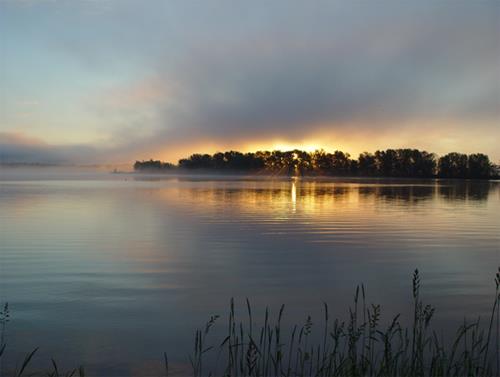 This image shows a view of the Saint John River from the Cossar Farm Site; Keith MacKenzie