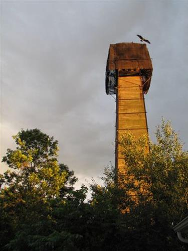 This image shows the remaining structure from the Reid's Mill, the smokestack; Village of Gagetown