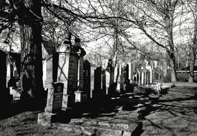 General view of the Beth Israel cemetery, showing the spatial organization of the gravestones in straight and closely spaced rows, 1991.; Agence Parcs Canada / Parks Canada Agency, 1991.