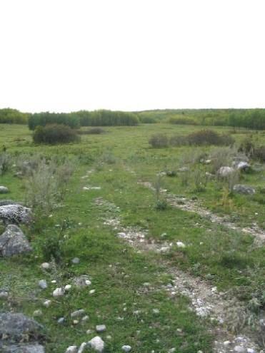 View of meadows, woods and stoney ground that characterize the landscape at Fort Livingstone, 2004.; Government of Saskatchewan, Marvin Thomas, 2004.