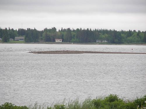 Ballast Heaps, southern islet; Bernard LeBlanc