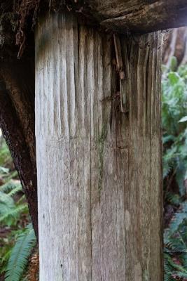 Detail of houseposts with carved upper portions, 2015.; Al Mackie