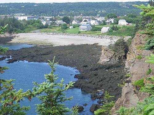 The Potter Cottage is the cottage on the right at the waterfront; Grand Manan Historical Society 