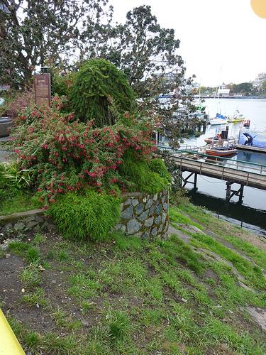 General view of Fort Victoria, showing the viewscapes from the fort site and the mooring rings to Victoria Harbour, 2011.; Parks Canada Agency / Agence Parcs Canada, Andrew Waldron, 2011.