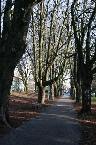 Moody Park; City of New Westminster, 2009
