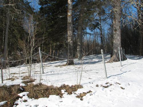 This cemetery is located within the park, close to the Petitcodiac River; Village of Salisbury