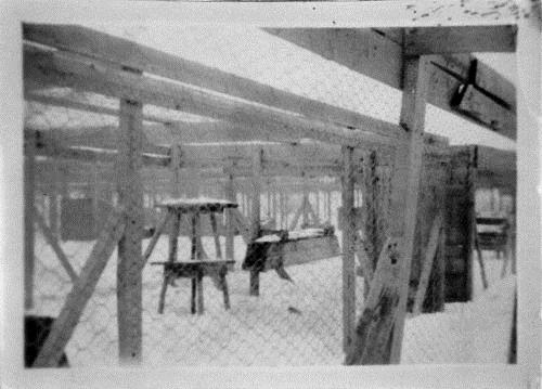 Image of the silver fox pens, circa 1920; Salisbury Public Library