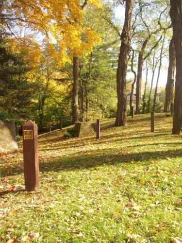 Featured is the pathway leading to the cemetery and water tower remnants.; Martha Fallis, 2008.