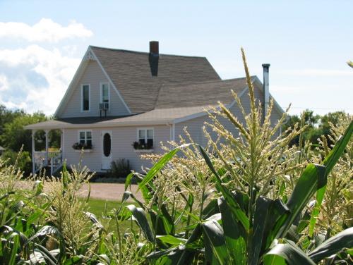 Jeffery Homestead; Carter Jeffery
