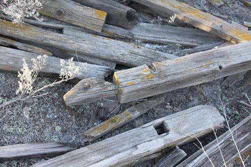 Steelhead Cemetery; Ministry of Environment, BC Parks, 2010