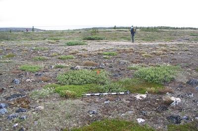 General view of Sea Horse Gully Remains, showing remains associated with Dorset House No. 2, 2005.; Dr. Lisa Hodgetts, 2005.