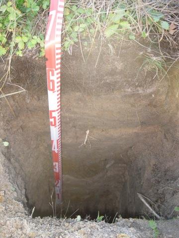 Quarry of the Ancestors; Alberta Culture and Community Services, Historic Resources Management Branch (September 2011)