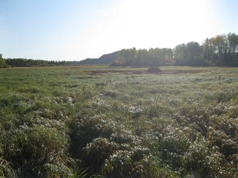 Quarry of the Ancestors; Alberta Culture and Community Services, Historic Resources Management Branch (September 2011)