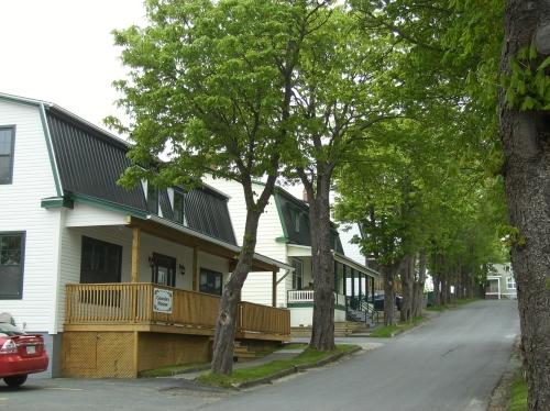 View looking to the northwest up Cable Avenue, Bay Roberts, NL. Photo taken 2011. ; Town of Bay Roberts 2011