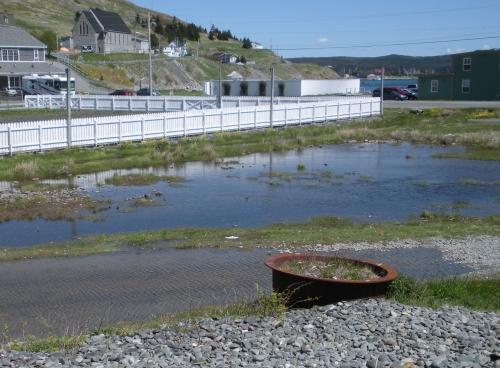 View of The Old Bark Pot, Ferryland, NL. Photo taken 2009.; © HFNL/Andrea O'Brien 2012 