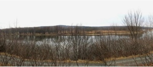 View of Kani Uten from the north shore of Wolastoq; Parks Canada | Parcs Canada