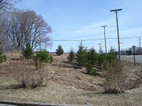 Portion of the Black Loyalist land grant area; Grand Bay-Westfield