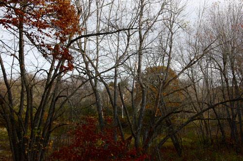 A section of the Old Portage Trail; Town of Grand Bay-Westfield