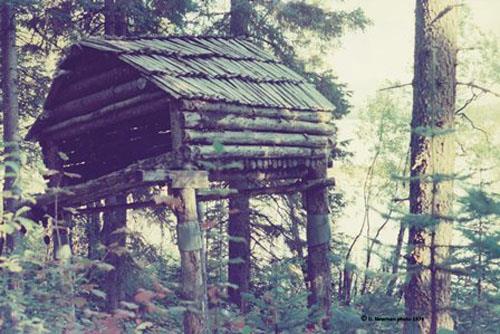 Cache structure near Gunanoot site on Bowser Lake circa 1974; Dave Newman, 1974