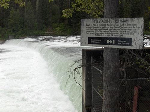 The lower end of the Meziadin Fish Ladder with the river flowing over the weir.; Ken Newman, 2007