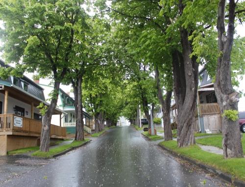 View looking up Cable Avenue, Bay Roberts, NL; © HFNL/Andrea O'Brien 2013 