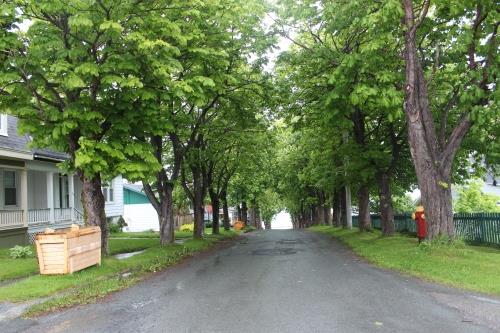 View looking down Cable Avenue, Bay Roberts, NL; © HFNL/Andrea O'Brien 2013 