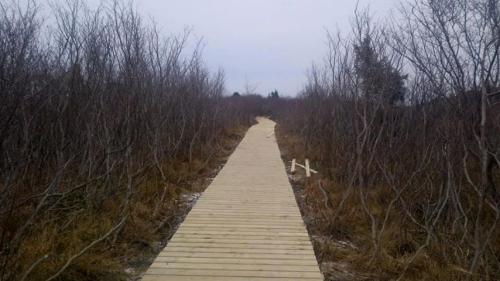 View of boardwalk leading to Old Lumsden North (Cat Harbour) Cemetery, Lumsden, NL.; © Elsie Norman 2013 
