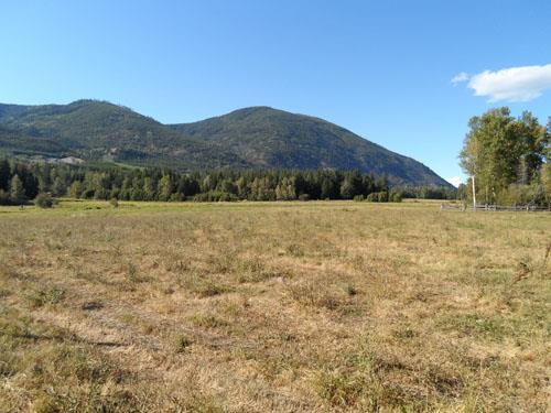 2131 - 50 Street NW, Laitinen Farm, Salmon Arm, BC; City of Salmon Arm, 2012