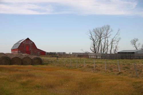 Contextual view of Forder Barn, Pipestone, 2014.; Historic Resources Branch, Manitoba Tourism, Culture, Heritage, Sport and Consumer Protection, 2015