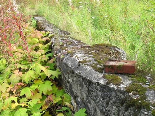 Foundation of the GTP Roundhouse at Pacific; Regional District of Kitimat-Stikine, 2011
