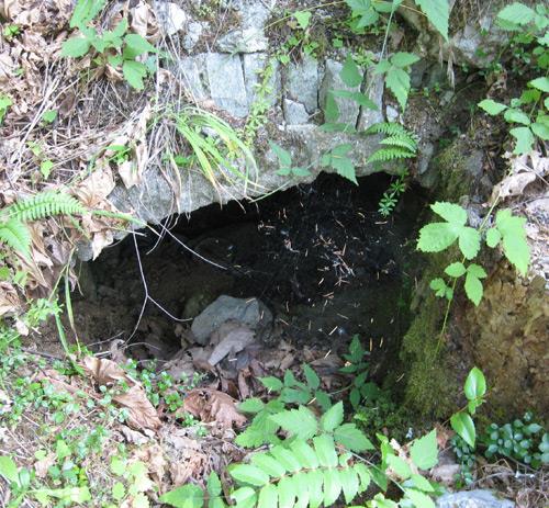 Lime Kiln, 1980 Millstream Road, 2008; District of Highlands, 2008