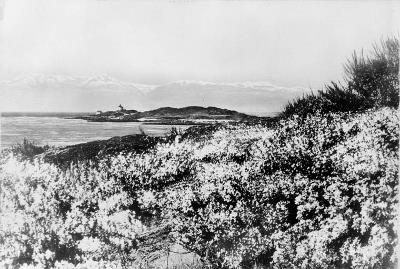 Historic photograph of Trial Islands Lighthouse ca. 1900-1925; Library and Archives Canada | Bibliothèque et Archives Canada, Albertype Company, PA-032801