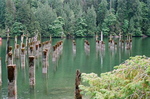 Remains of wharf at Tod Inlet, 2012. Photo courtesy of David R. Gray.; David R. Gray, 2012