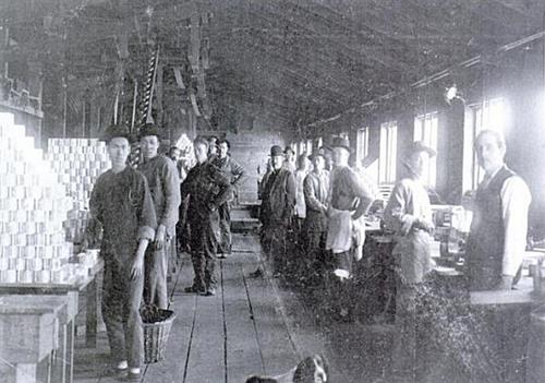 Chinese workers at Cleeve Canning Co., circa 1904. Courtesy of New Westminster Public Library (NWPL#790); New Westminster Public Library, NWPL #790