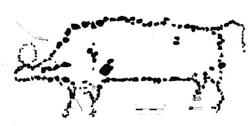 Plan drawing of bison effigy, including rocks that represent internal organs..; Government of Saskatchewan, 1964.