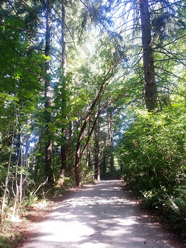 Old Mill Park; Cowichan Valley Regional District