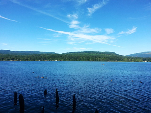Old Mill Park; Cowichan Valley Regional District, 2015
