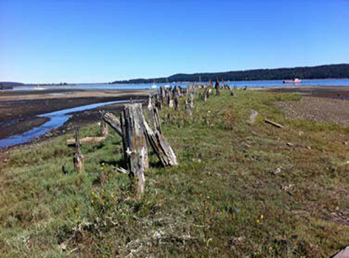 Fanny Bay; 