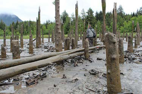 Port Essington; UNBC