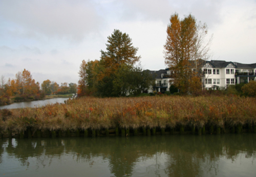 Ladner's Landing; Corporation of Delta, 2009